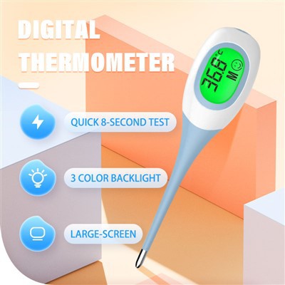 10s Digitalthermometer Preis