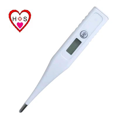 Thermometer Digitale Temperatur